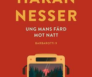 Ung mans färd mot natt Ung mans färd mot natt