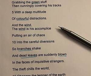 Unseen Poem: Mr Salles Ultimate Guide to Writing GCSE Essays Unseen Poem: Mr Salles Ultimate Guide to Writing GCSE Essays