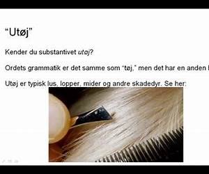 Utøj (Birgit Bagge-serien, #2 )