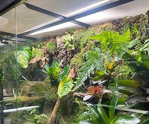 Vivarium