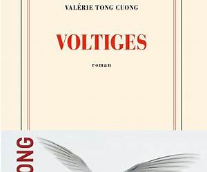 Voltiges (French Edition) Voltiges (French Edition)