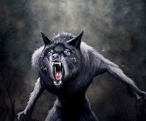 Werewolves (Classic Monsters Book 2) Werewolves (Classic Monsters Book 2)