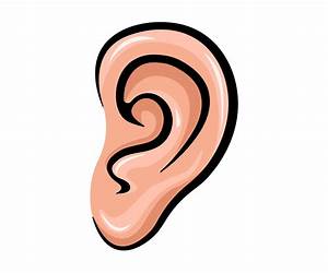 What Are Ears For?: A Lift-the-Flap Board Book (Training Young Hearts)