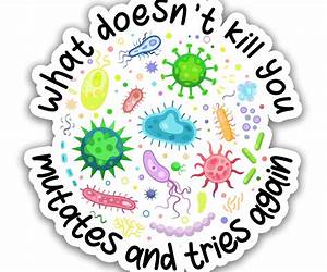 What Doesn't Kill You: A Wolves of Black Water Valley Companion Novel What Doesn't Kill You: A Wolves of Black Water Valley Companion Novel