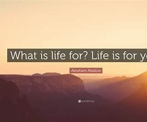 What is Life For? : Dr Chettiar V Lord Harris Trilogy: Book Two What is Life For? : Dr Chettiar V Lord Harris Trilogy: Book Two