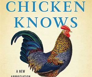 What the Chicken Knows: A New Appreciation of the World's Most Familiar Bird