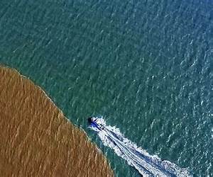 Where the River Meets the Ocean Where the River Meets the Ocean