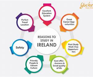 Why Choose in Ireland: The High end Chronicles of Morgan Holland