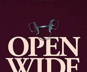 Wide Open: A Dark Romance Novella