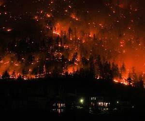 Wild Fires (Ravenden) Wild Fires (Ravenden)
