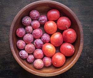 Wild Plums