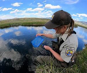 Wild Service: Why Nature Needs You Wild Service: Why Nature Needs You
