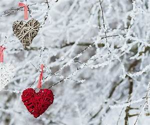 Winter Heart (The Relics of Light series)