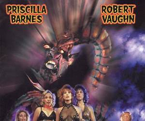 WitchCraft Academy: (The First Book) WitchCraft Academy: (The First Book)