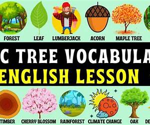 Words With Trees Words With Trees