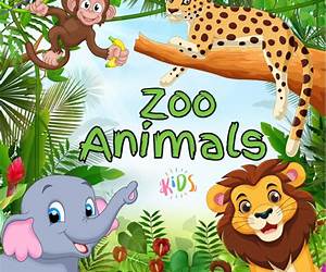 ZOO ANIMALS kidsfilled with fun facts about all kinds of incredible animals ZOO ANIMALS kidsfilled with fun facts about all kinds of incredible animals