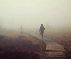 wading through the fog on a sunny day wading through the fog on a sunny day