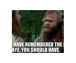 you should have remembered (The Mountains Are Out Book 1)
